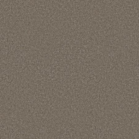 Shaw Floors Pet Perfect You Got This I Net Cobblestone