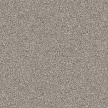 Shaw Floors Pet Perfect You Got This II Net Chic Greige