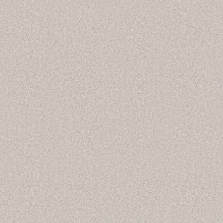 Shaw Floors Pet Perfect You Got This III Net Snowfall