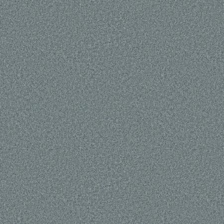 Shaw Floors Pet Perfect You Got This III Net Sea Ice