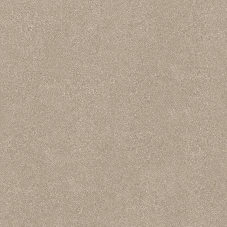 Shaw Floors Pet Perfect Hard At Play I 12' Net Natural