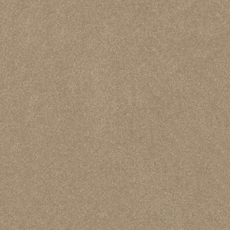 Shaw Floors Pet Perfect Hard At Play II 15 Net Worn Path