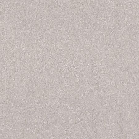 Shaw Floors Pet Perfect Hard At Play III 15 Net Frozen