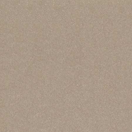 Shaw Floors Pet Perfect Hard At Play III 15 Net Subtle Clay