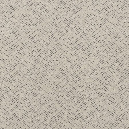 Shaw Floors Pet Perfect Favoured Path Net Marble