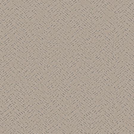 Shaw Floors Pet Perfect Favoured Path Net Warm Light