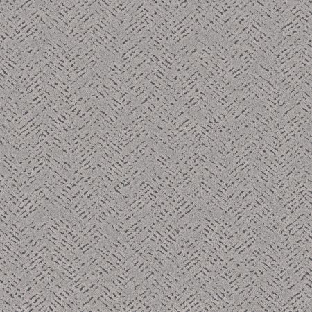 Shaw Floors Pet Perfect Favoured Path Net Flannel