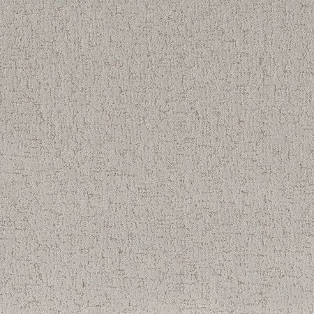 Shaw Floors Pet Perfect Run Free Net Cashmere