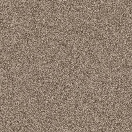 Shaw Floors Pet Perfect Plus Artistic Fusion II Net Cameo