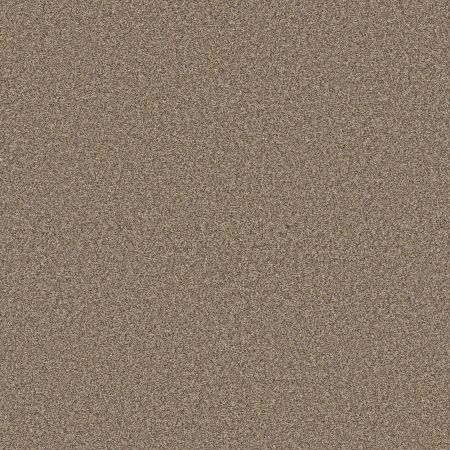 Shaw Floors Pet Perfect Plus Artistic Fusion II Net Honeycomb