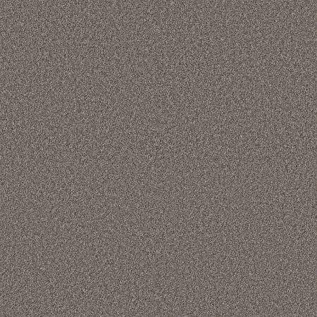 Shaw Floors Pet Perfect Plus Artistic Fusion II Net Ashes