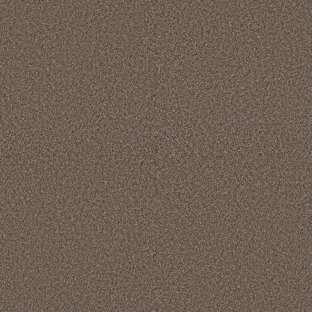 Shaw Floors Pet Perfect Plus Artistic Fusion II Net Orange Oxide