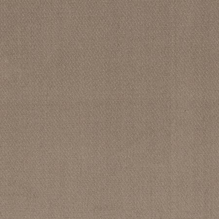 Shaw Floors Simply The Best Simply Classic Net Cameo