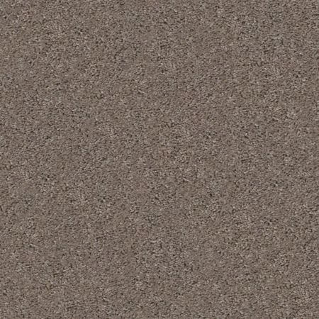 Shaw Floors To The Point Warm Grey