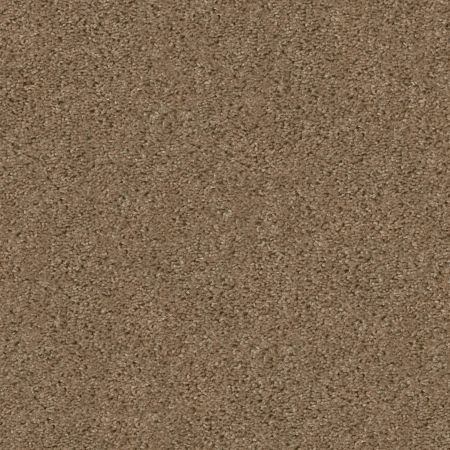 Shaw Floors To The Point Raw Wood