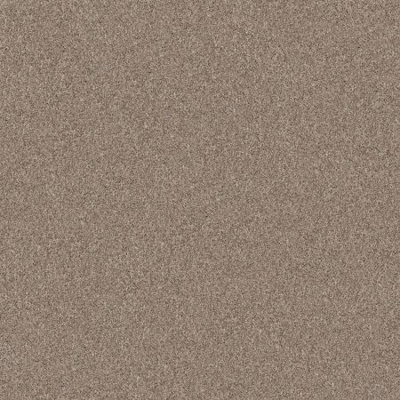 Shaw Floors Pet Perfect Yes You Can-ada II 12 Subtle Clay