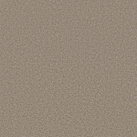 Shaw Floors Simply The Best Trusolutions III Beach Cabana