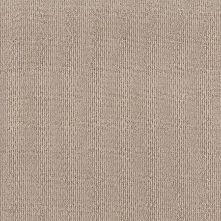 Shaw Floors Feisty Bermuda Sand