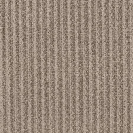 Shaw Floors Feisty Smooth Taupe