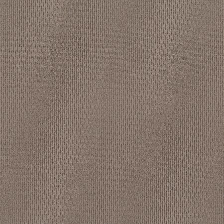 Shaw Floors Feisty Branch