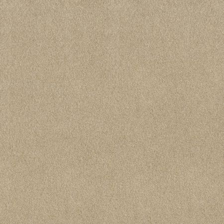 Shaw Floors SFA Tonal Comfort I Sun Kissed