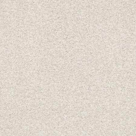 Shaw Floors SFA Tonal Comfort I Warm Blanket
