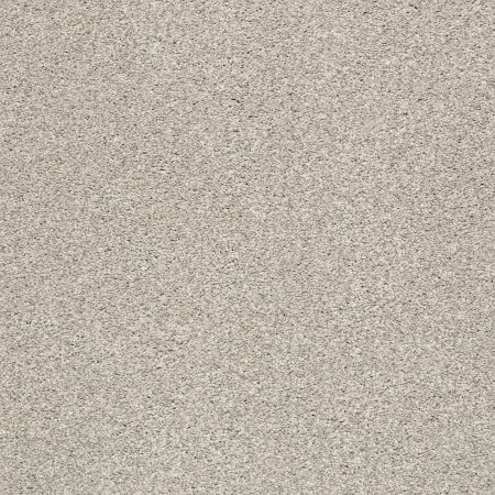 Shaw Floors SFA Tonal Comfort I Shoreline Haze