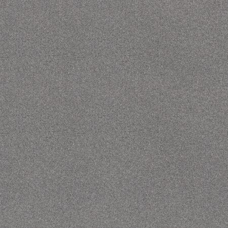 Shaw Floors SFA Tonal Comfort I Dolphin Sighting