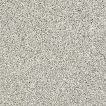 Shaw Floors SFA Tonal Comfort I Refreshed