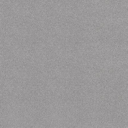 Shaw Floors SFA Tonal Comfort I Polished Silver