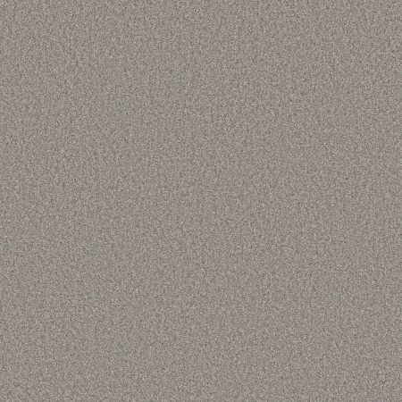 Shaw Floors SFA Tonal Comfort I Sunday Stroll