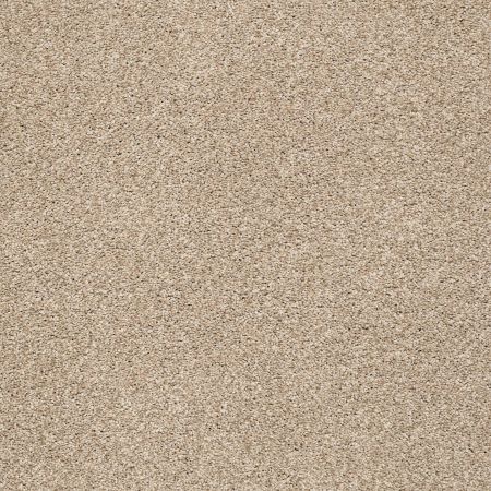 Shaw Floors SFA Tonal Comfort I Walk On The Beach