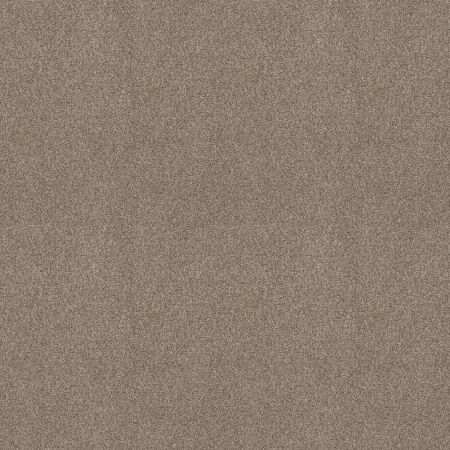 Shaw Floors SFA Tonal Comfort I Dockside View