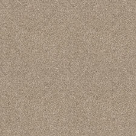 Shaw Floors SFA Tonal Comfort I Dinner With Friends