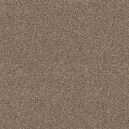 Shaw Floors SFA Tonal Comfort I Camping Trip