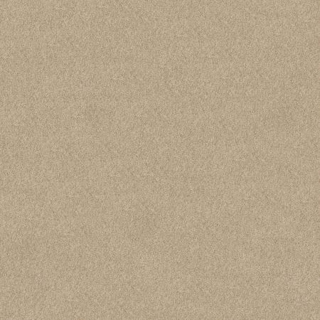 Shaw Floors SFA Tonal Comfort II Sun Kissed