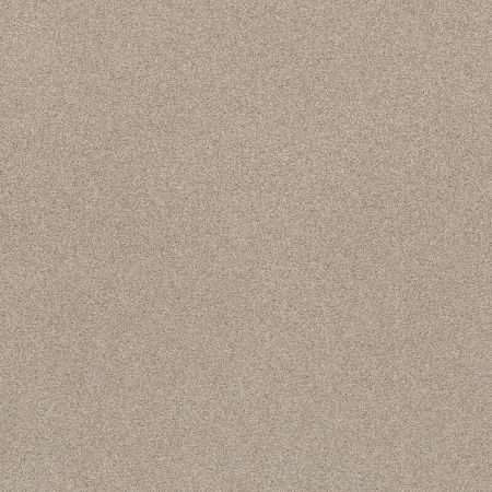 Shaw Floors SFA Tonal Comfort II Sand Castle