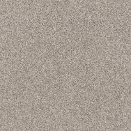 Shaw Floors SFA Tonal Comfort II Shoreline Haze