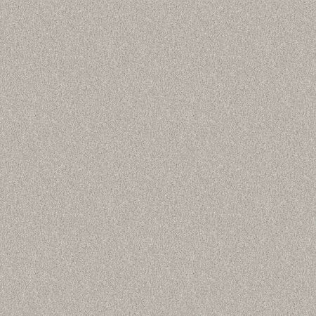 Shaw Floors SFA Tonal Comfort II Whitewashed Frame