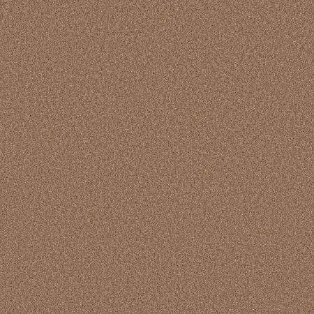 Shaw Floors SFA Tonal Comfort II Terracotta Pot