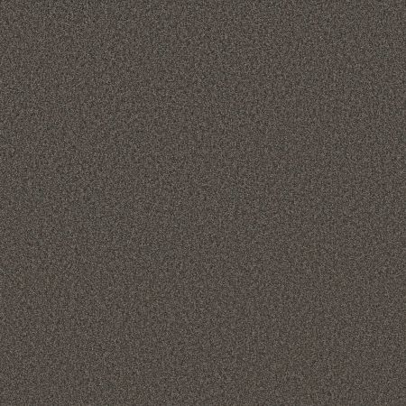 Shaw Floors SFA Tonal Comfort II Weekend Getaway