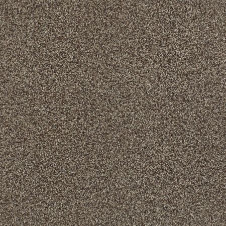 Shaw Floors SFA Tonal Comfort Blue Summer House