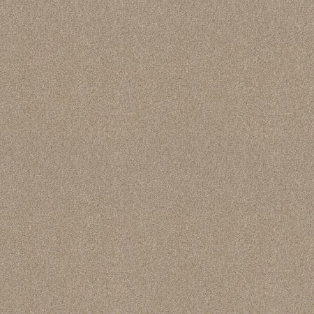 Shaw Floors SFA Tonal Comfort Blue Dinner With Friends