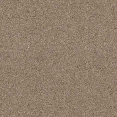 Shaw Floors SFA Tonal Comfort Blue Honey Tea