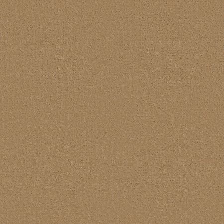 Shaw Floors SFA Canvas Comfort Pasta Recipe