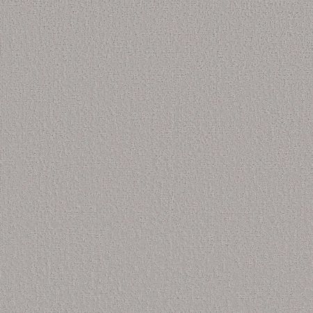 Shaw Floors SFA Canvas Comfort Dreamy