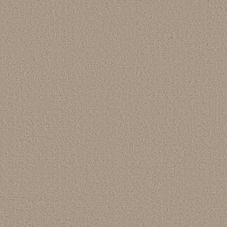 Shaw Floors SFA Canvas Comfort My Haven