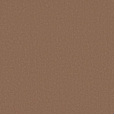 Shaw Floors SFA Canvas Comfort Blue Terracotta Pot