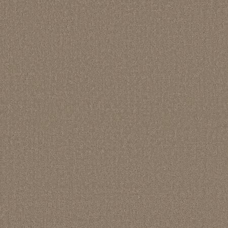 Shaw Floors SFA Canvas Comfort Blue Camping Trip