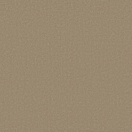 Shaw Floors SFA Canvas Comfort Blue Honey Tea